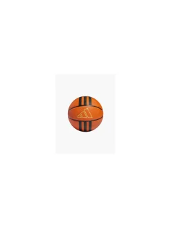 Herren Basketball