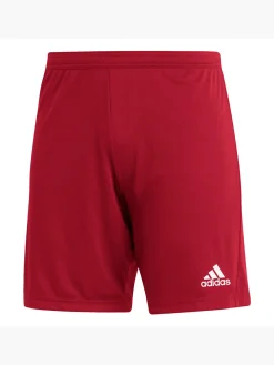 Herren adidas Entrada 22 Shorts