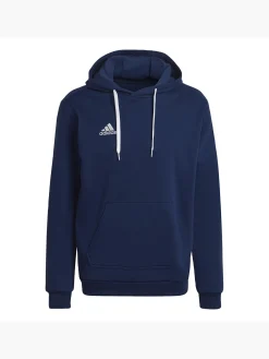Herren adidas Entrada 22 Sweat Hoodie