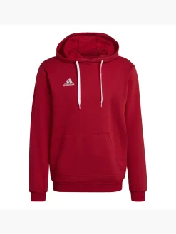 Herren adidas Entrada 22 Sweat Hoodie