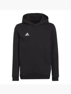 Kinder adidas Entrada 22 Sweat Hoodie