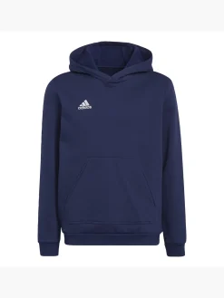 Kinder adidas Entrada 22 Sweat Hoodie