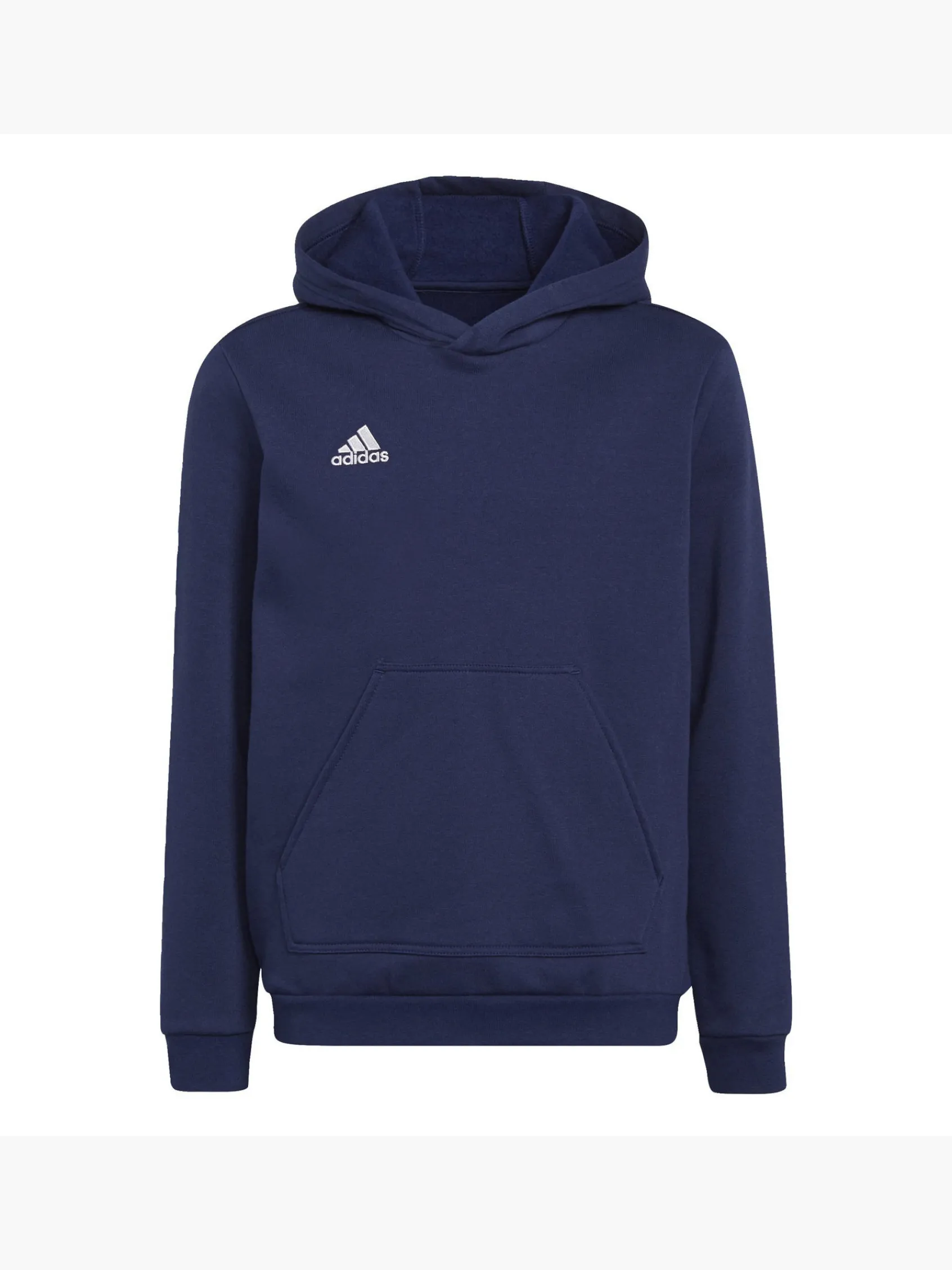 Kinder adidas Entrada 22 Sweat Hoodie