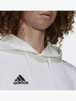 Herren adidas Entrada 22 Sweat Hoodie