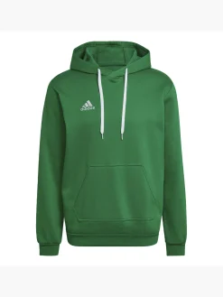 Herren adidas Entrada 22 Sweat Hoodie
