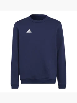 Kinder adidas Entrada 22 Sweatshirt
