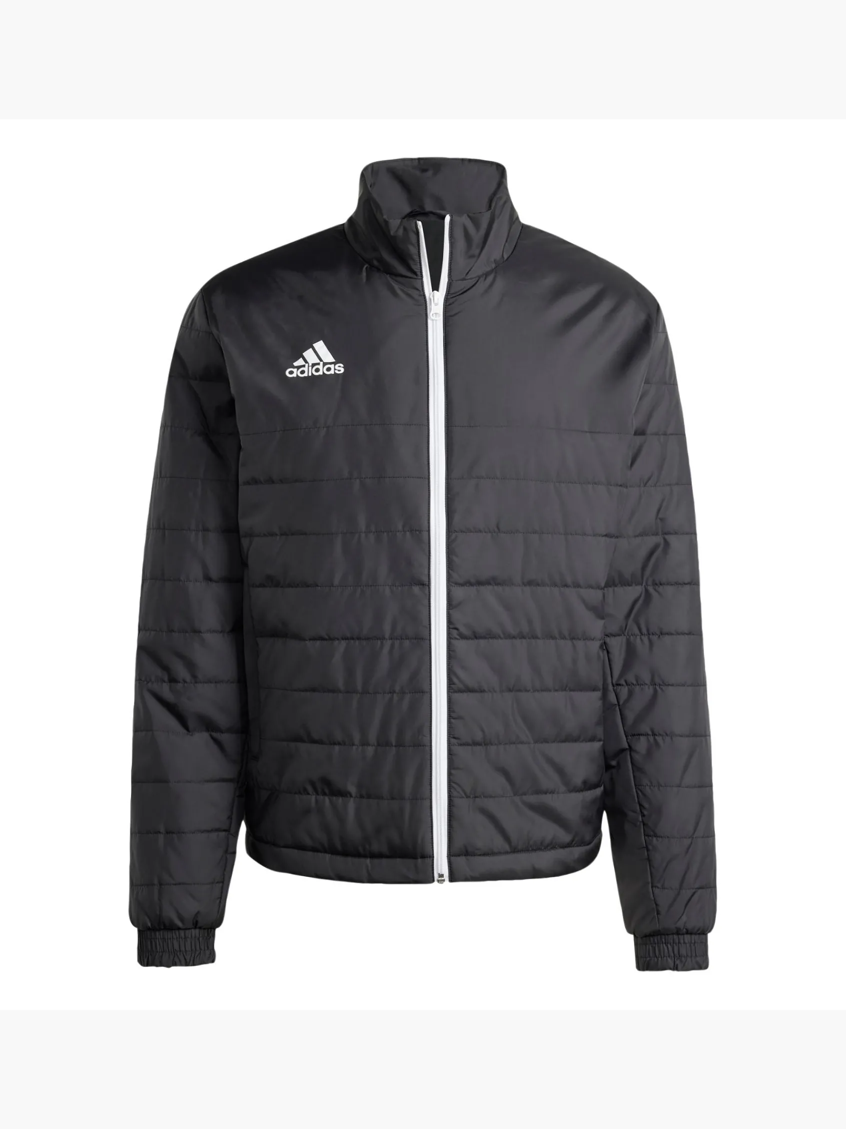 Herren adidas Entrada Light Jacke