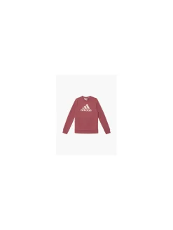 Kinder adidas Essentials Sweatshirt