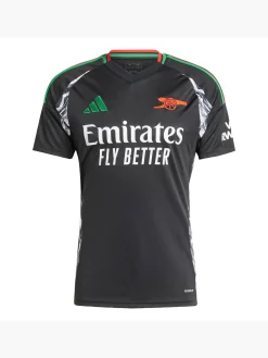 Herren FC Arsenal 24/25 Auswärtstrikot