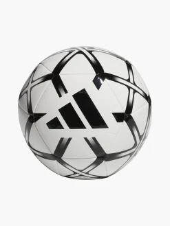 Damen Fußball