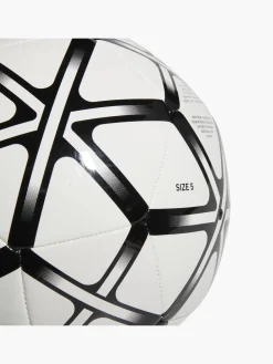 Damen Fußball