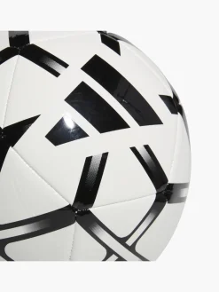 Damen Fußball