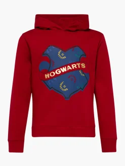 Kinder Harry Potter Hoodie