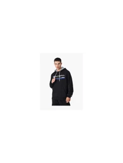 Herren Champion Hoodie