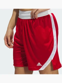 Herren adidas Icon Squad Shorts