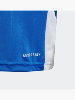 Kinder adidas Italien 24 Mini-Heimausrüstung