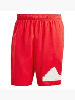 Herren Logo CLX Badeshorts