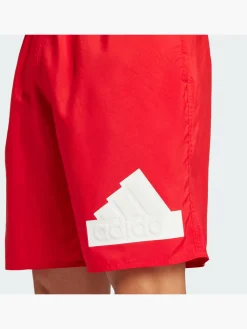 Herren Logo CLX Badeshorts