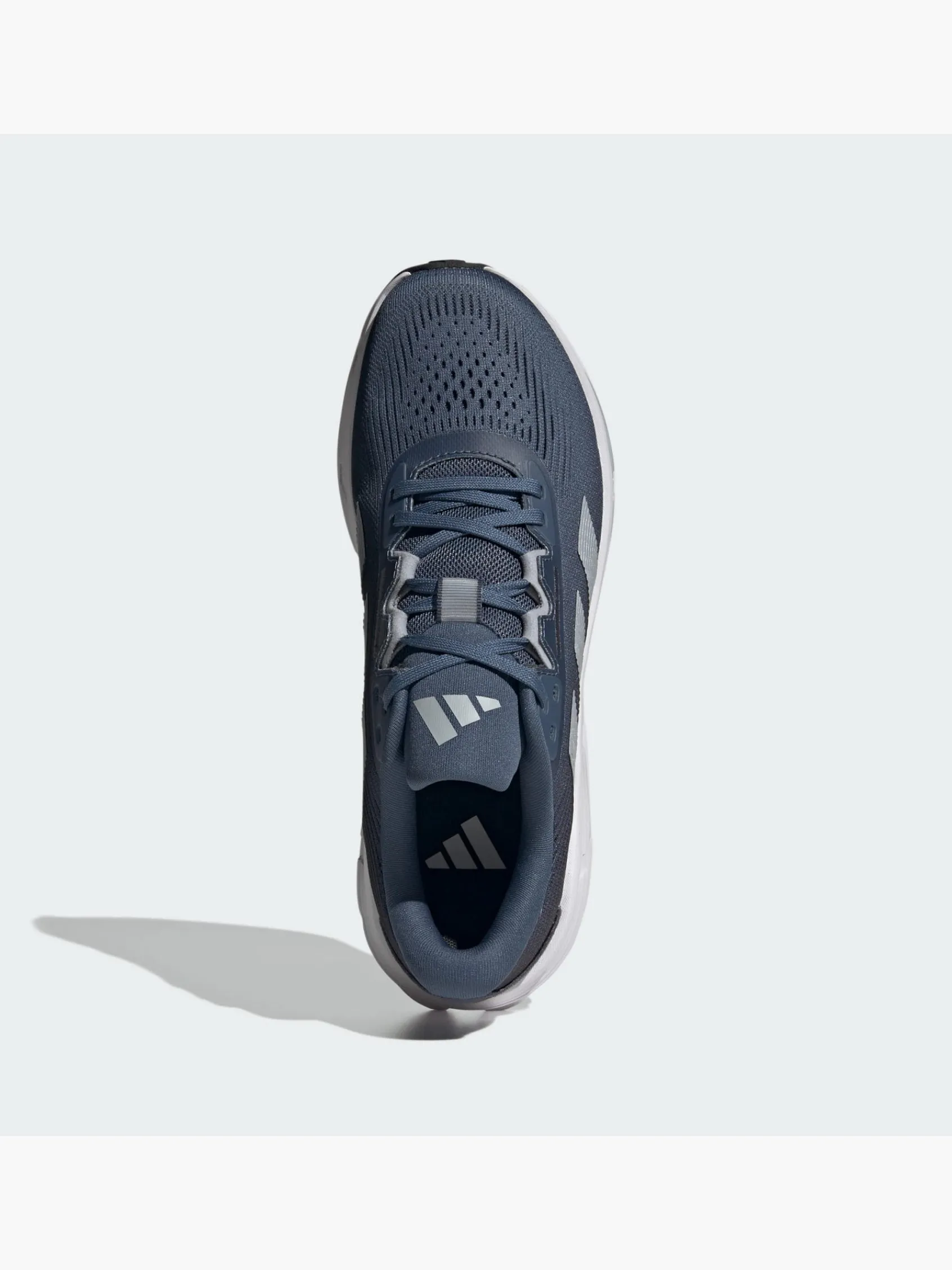 Herren adidas Questar 3 Laufschuh