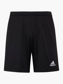 Herren adidas Shorts