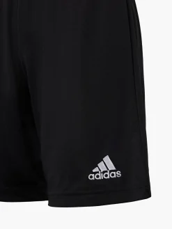 Herren adidas Shorts