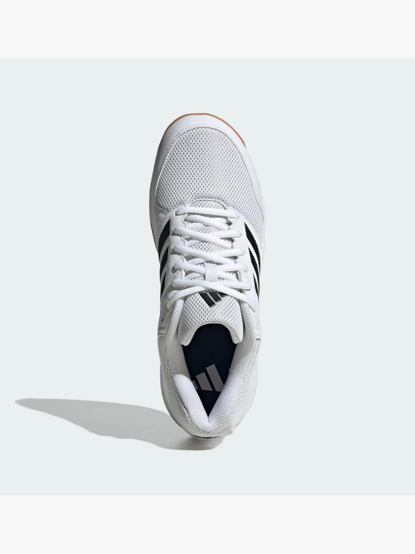 Herren adidas Speedcourt IN Schuh