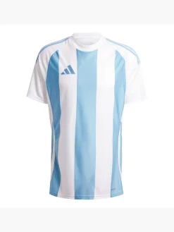 Herren adidas Striped 24 Trikot