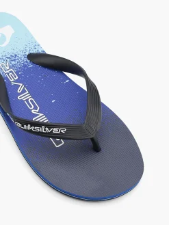 Herren Quiksilver Zehentrenner
