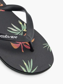 Herren Quiksilver Zehentrenner